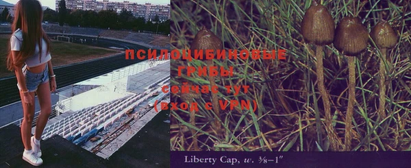 ALPHA-PVP Богородск