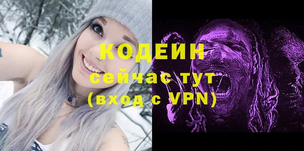соль ск Бородино